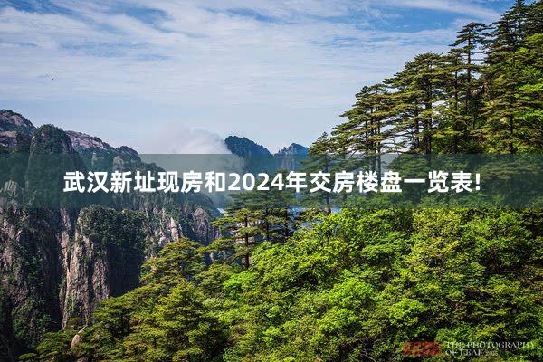 武汉新址现房和2024年交房楼盘一览表!