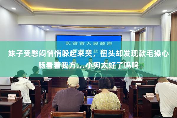 妹子受憋闷悄悄躲起来哭，扭头却发现款毛操心肠看着我方…小狗太好了呜呜