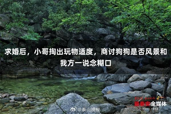 求婚后，小哥掏出玩物适度，商讨狗狗是否风景和我方一说念糊口