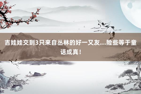 吉娃娃交到3只来自丛林的好一又友...险些等于童话成真！