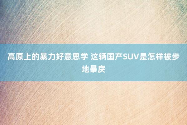 高原上的暴力好意思学 这辆国产SUV是怎样被步地暴戾