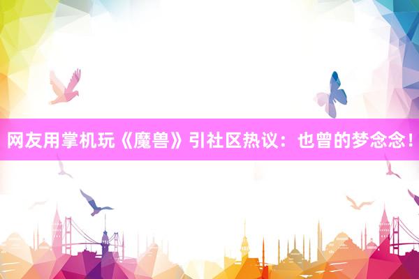 网友用掌机玩《魔兽》引社区热议：也曾的梦念念！
