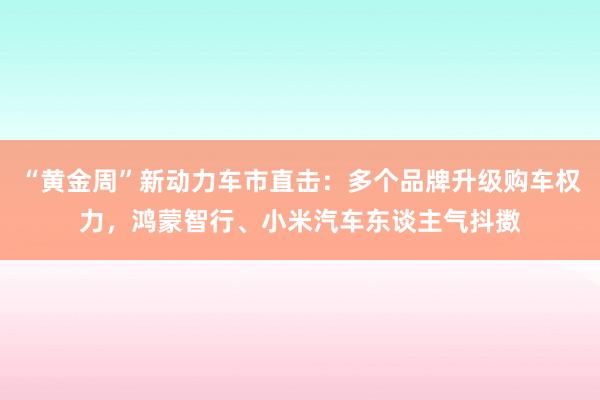“黄金周”新动力车市直击：多个品牌升级购车权力，鸿蒙智行、小米汽车东谈主气抖擞