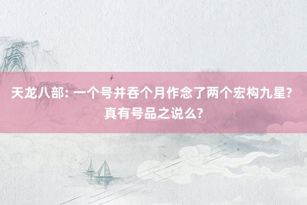 天龙八部: 一个号并吞个月作念了两个宏构九星? 真有号品之说么?