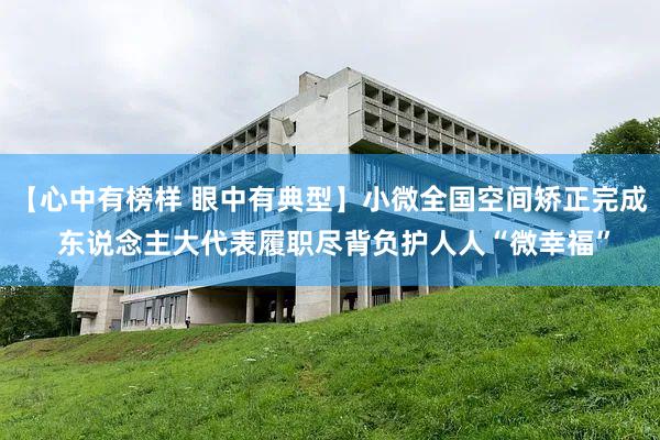 【心中有榜样 眼中有典型】小微全国空间矫正完成 东说念主大代表履职尽背负护人人“微幸福”