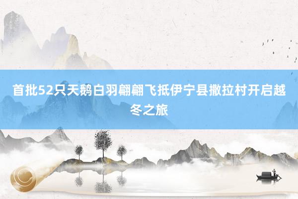 首批52只天鹅白羽翩翩飞抵伊宁县撒拉村开启越冬之旅