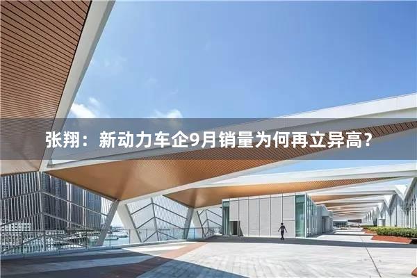 张翔：新动力车企9月销量为何再立异高？