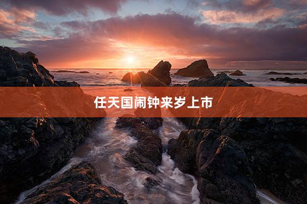 任天国闹钟来岁上市