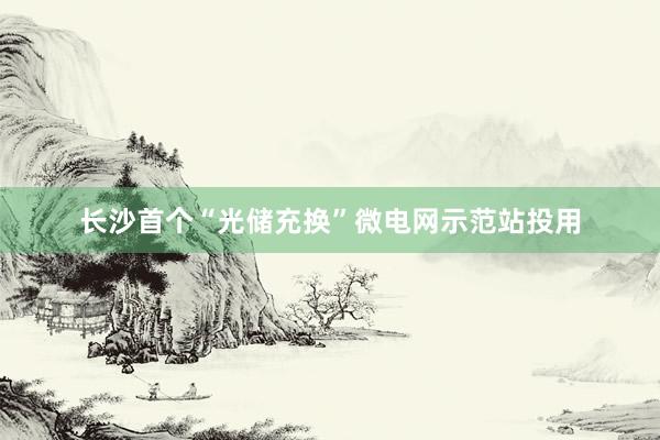 长沙首个“光储充换”微电网示范站投用