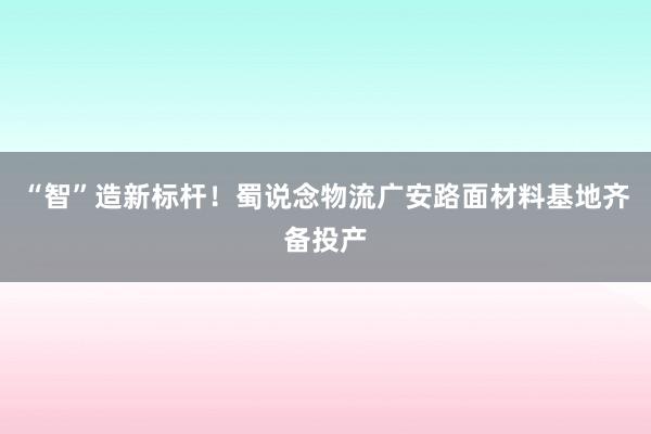 “智”造新标杆！蜀说念物流广安路面材料基地齐备投产