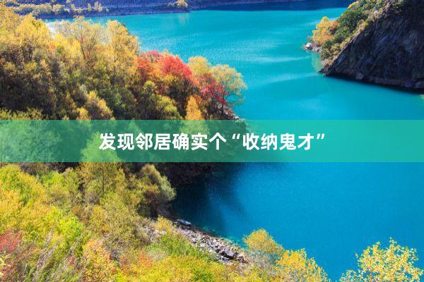 发现邻居确实个“收纳鬼才”