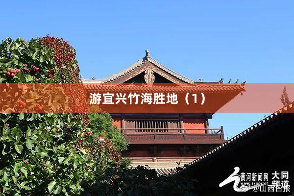 游宜兴竹海胜地（1）
