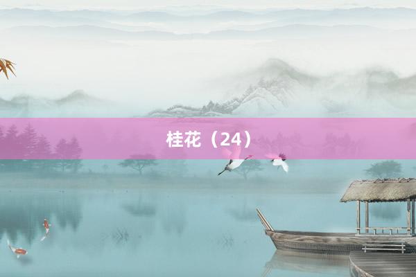 桂花（24）