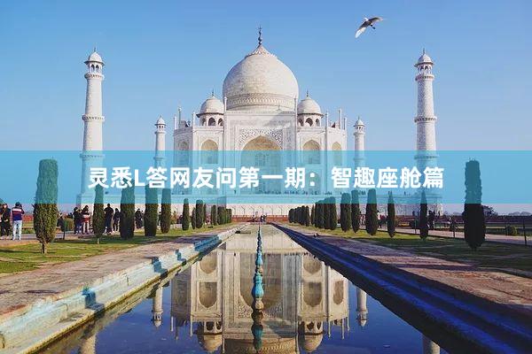 灵悉L答网友问第一期：智趣座舱篇