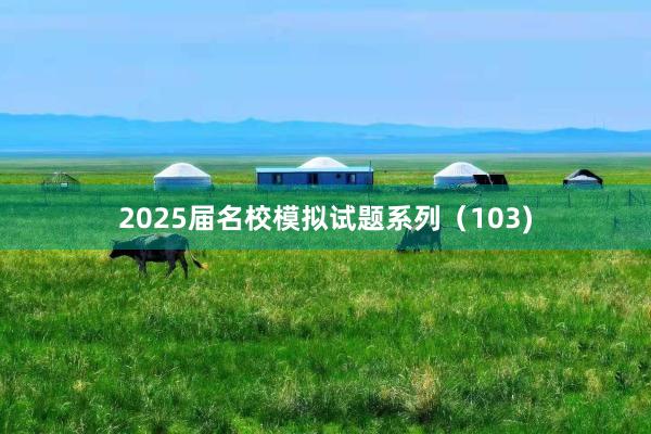 2025届名校模拟试题系列（103)