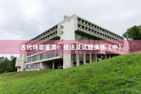 古代诗歌鉴赏：技法及试题演练（中）