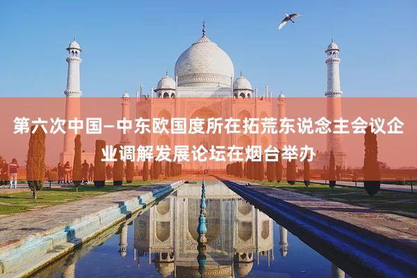 第六次中国—中东欧国度所在拓荒东说念主会议企业调解发展论坛在烟台举办