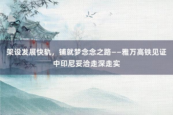 架设发展快轨，铺就梦念念之路——雅万高铁见证中印尼妥洽走深走实