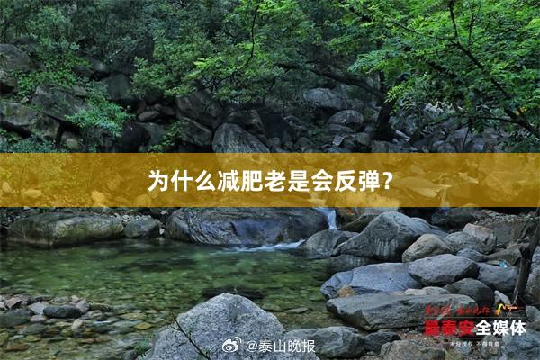 为什么减肥老是会反弹?