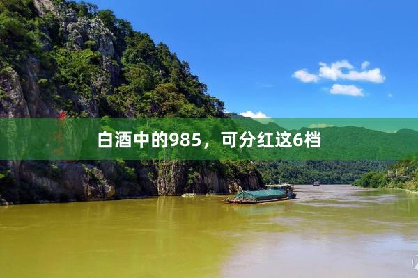 白酒中的985，可分红这6档