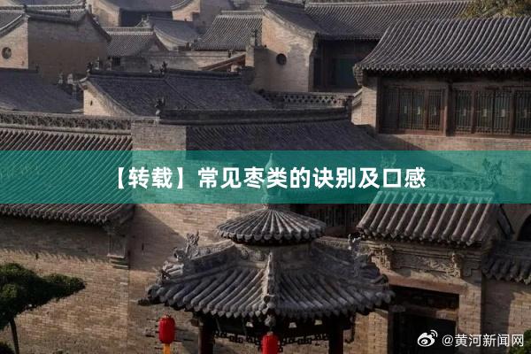 【转载】常见枣类的诀别及口感
