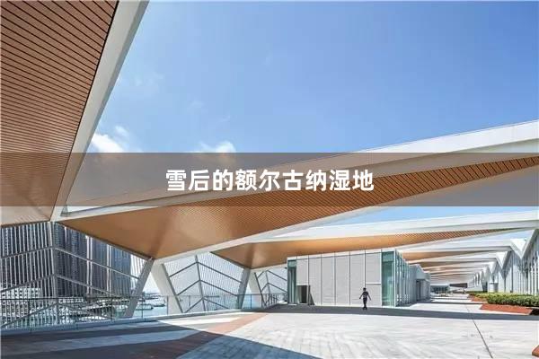 雪后的额尔古纳湿地