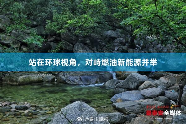 站在环球视角，对峙燃油新能源并举