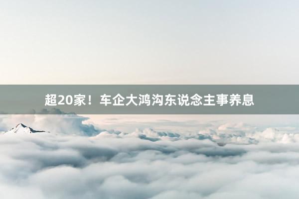 超20家！车企大鸿沟东说念主事养息