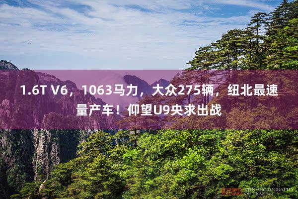 1.6T V6，1063马力，大众275辆，纽北最速量产车！仰望U9央求出战
