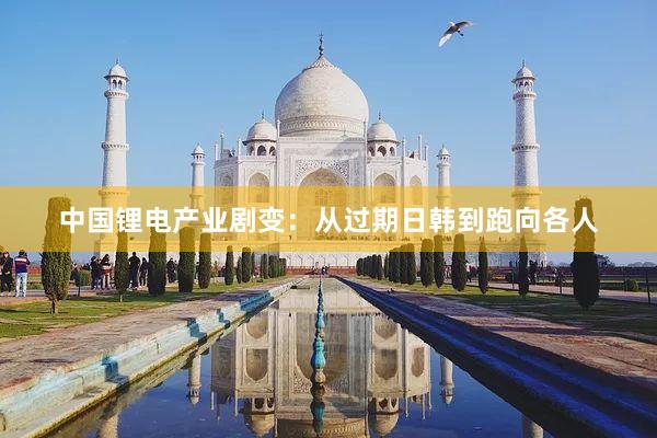 中国锂电产业剧变：从过期日韩到跑向各人