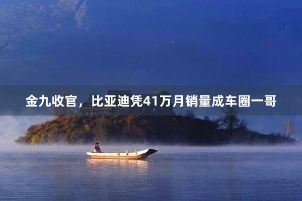 金九收官，比亚迪凭41万月销量成车圈一哥