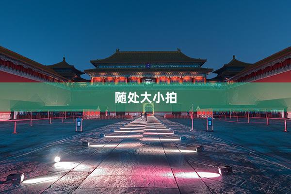 随处大小拍