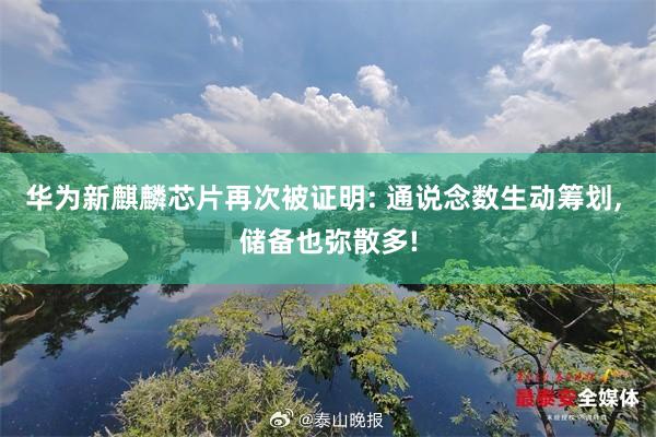 华为新麒麟芯片再次被证明: 通说念数生动筹划, 储备也弥散多!