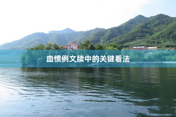 血惯例文牍中的关键看法
